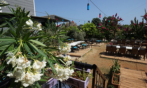 Alkolsüz Balık Restoranı Mersin